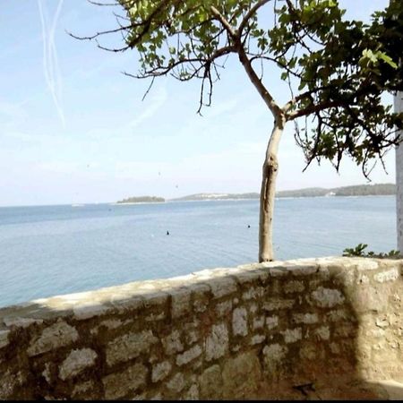 Apartment Giulio - 10Mt To The Beach Rovinj Exteriér fotografie