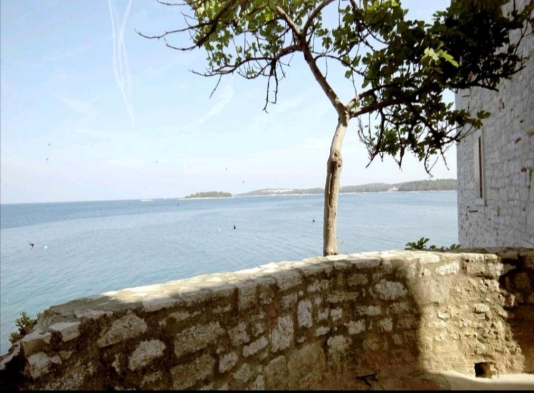 Apartment Giulio - 10Mt To The Beach Rovinj Exteriér fotografie